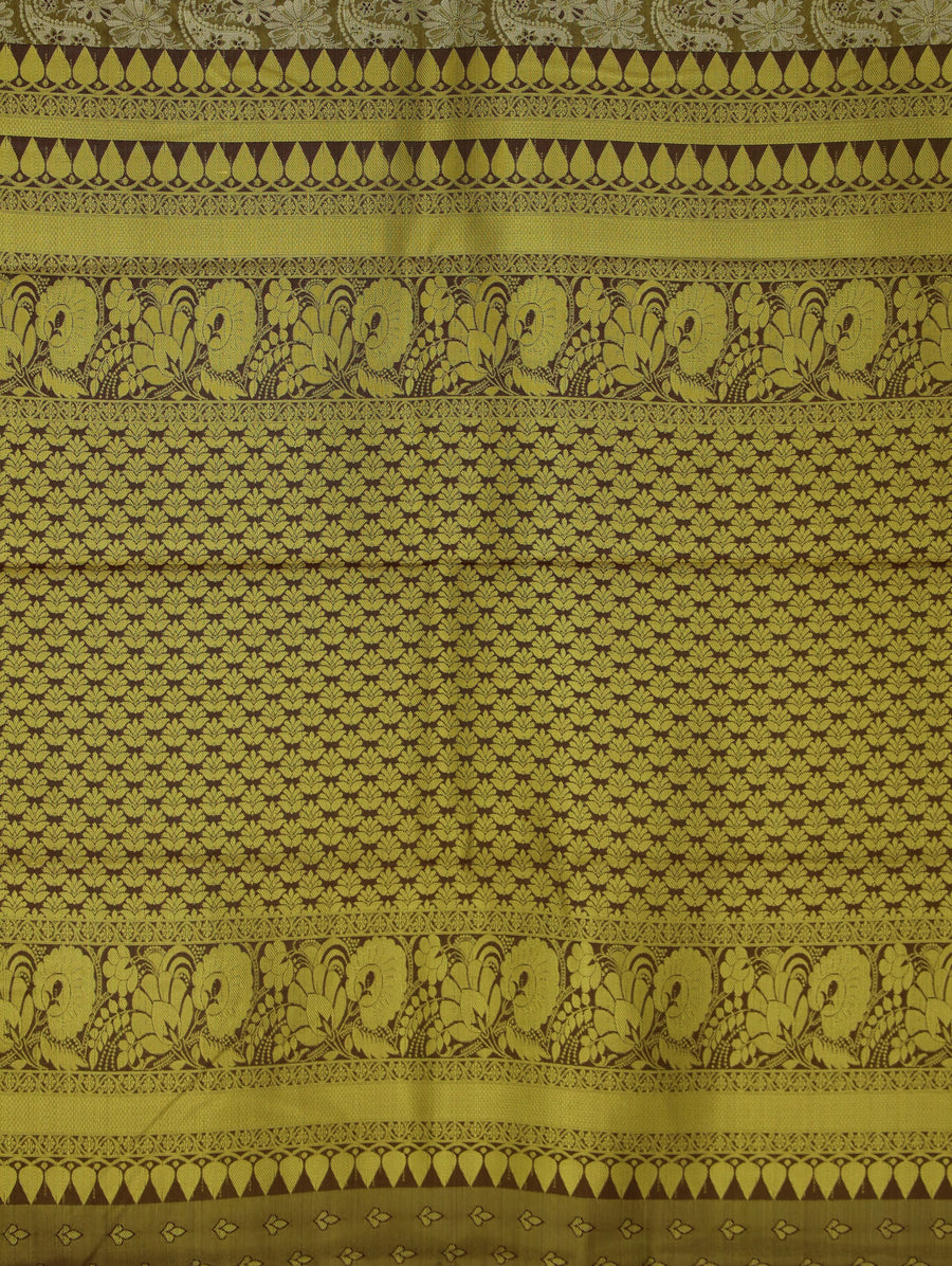 Champagne Gold Kanchipuram Inspired Semi Silk Saree with Medium Medium Contrast Border
