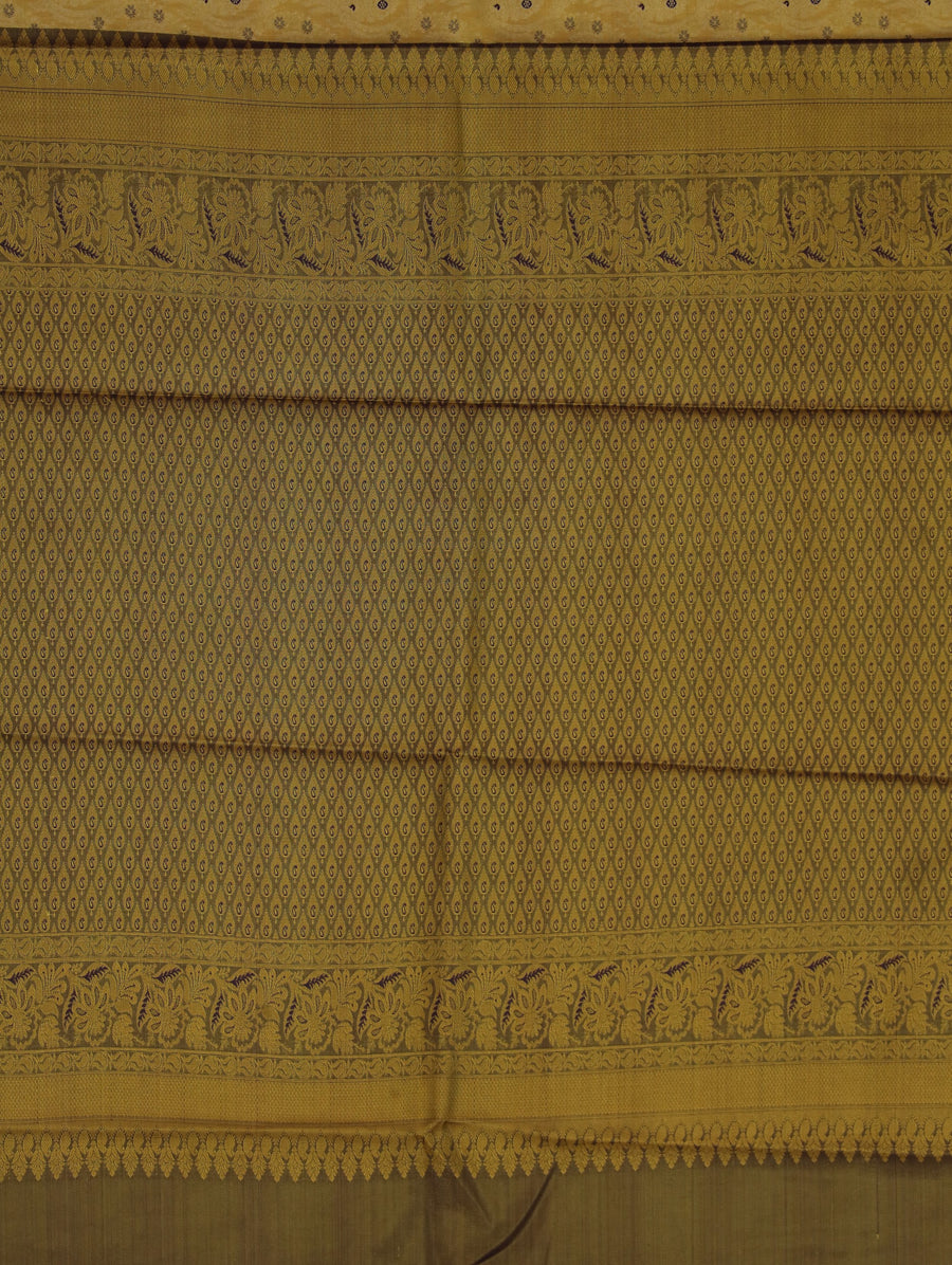 Champagne Gold Dharmavaram Inspired Semi Silk Saree with Wide Wide Contrast Border