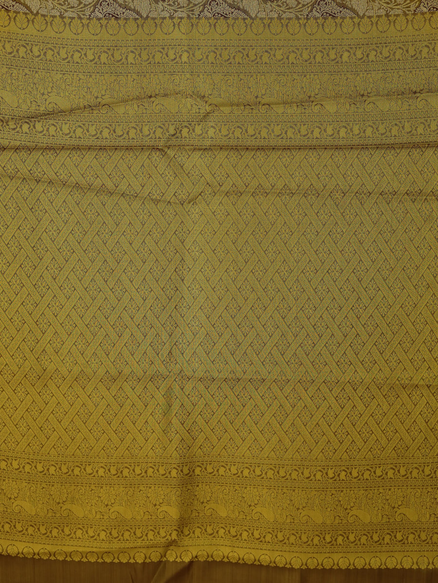 Champagne Gold Kanchipuram Inspired Semi Silk Saree with Wide Wide Contrast Border