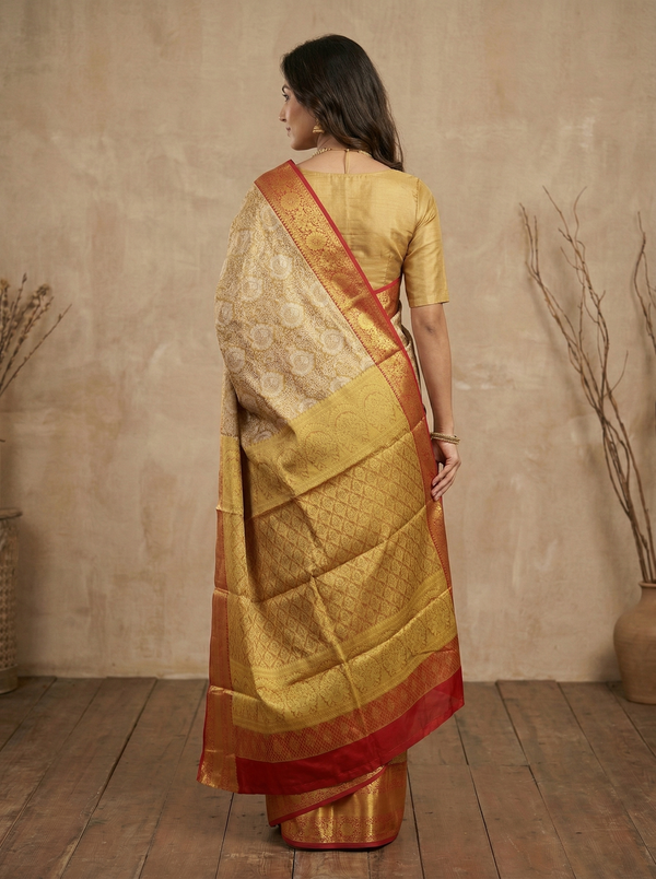 Champagne Gold Dharmavaram Inspired Semi Silk Saree with Wide Wide Contrast Border