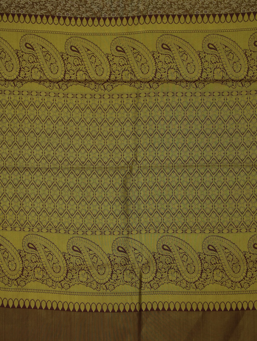 Antique Gold Kanchipuram Inspired Semi Silk Saree with Medium Medium Contrast Border
