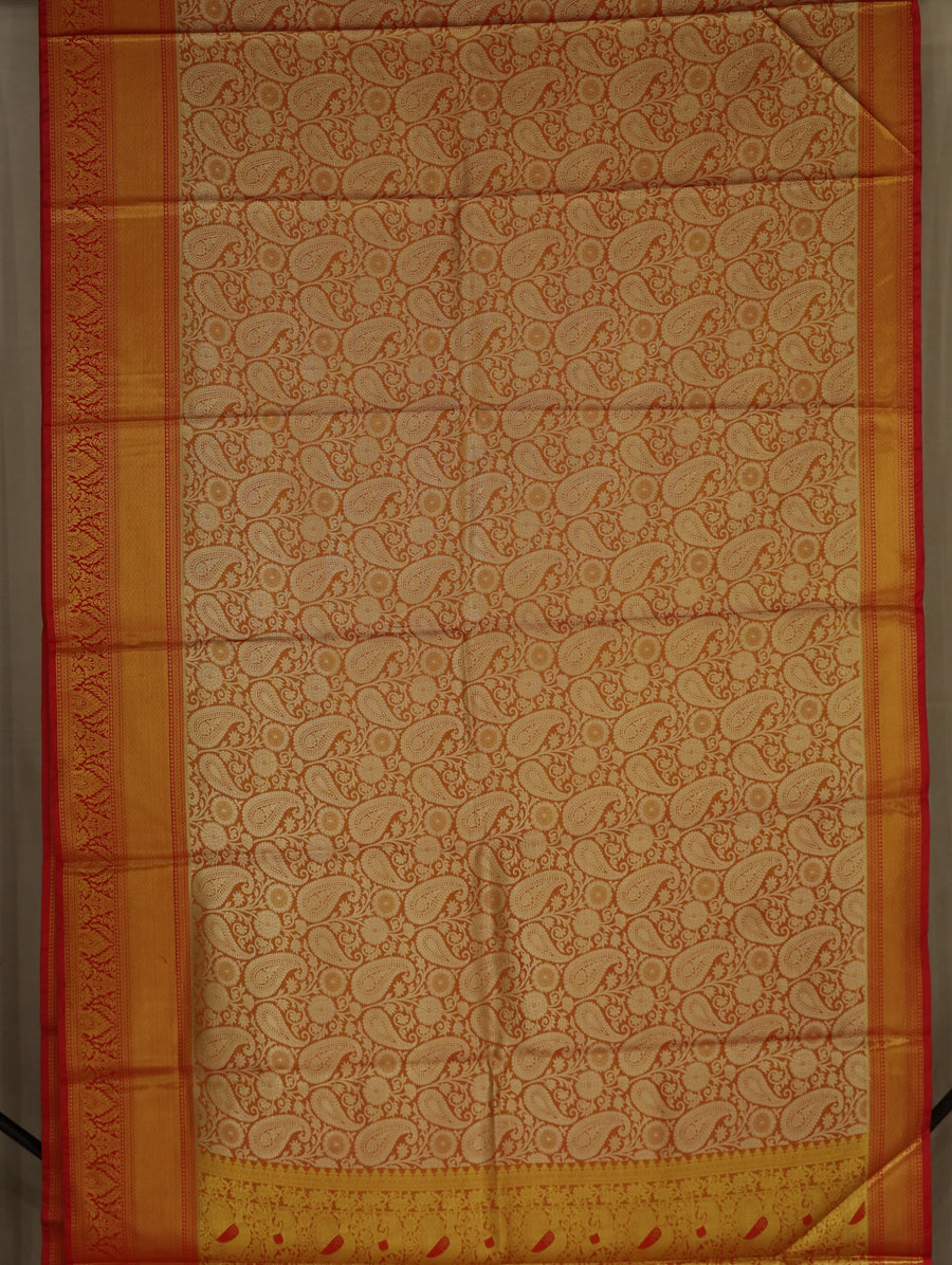 Burnt Orange Dharmavaram Inspired Semi Silk Saree with Wide Wide Contrast Border