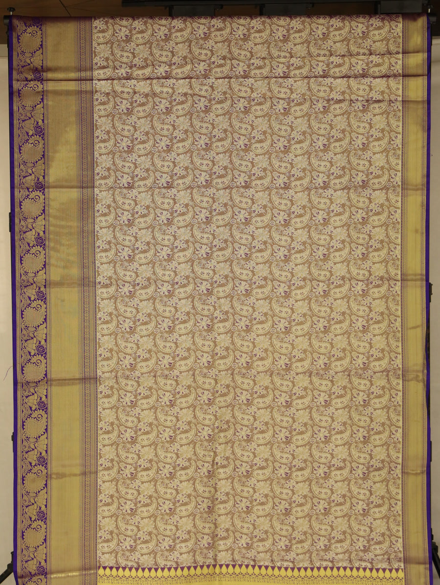 Champagne Gold Dharmavaram Inspired Semi Silk Saree with Wide Wide Contrast Border