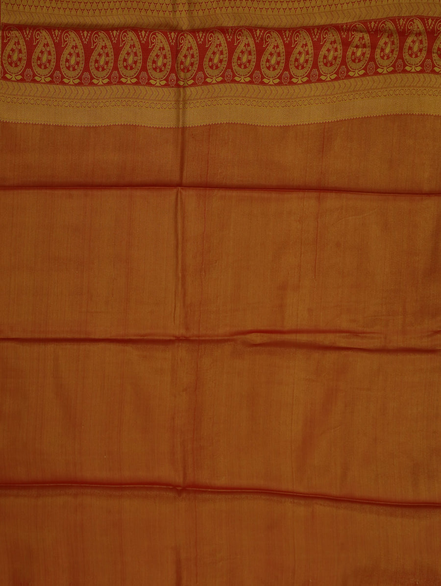 Champagne Gold Kanchipuram Inspired Semi Silk Saree with Wide Wide Contrast Border