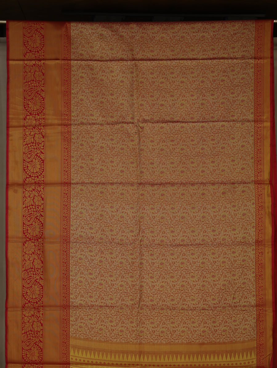 Champagne Gold Kanchipuram Inspired Semi Silk Saree with Medium Medium Contrast Border