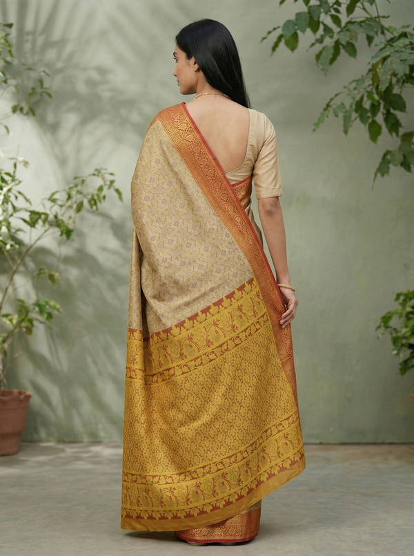 Champagne Gold Kanchipuram Inspired Semi Silk Saree with Medium Medium Contrast Border