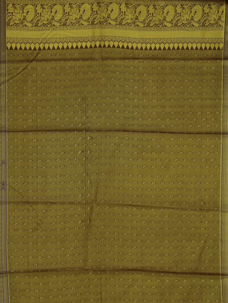Champagne Gold Kanchipuram Inspired Semi Silk Saree with Medium Medium Contrast Border