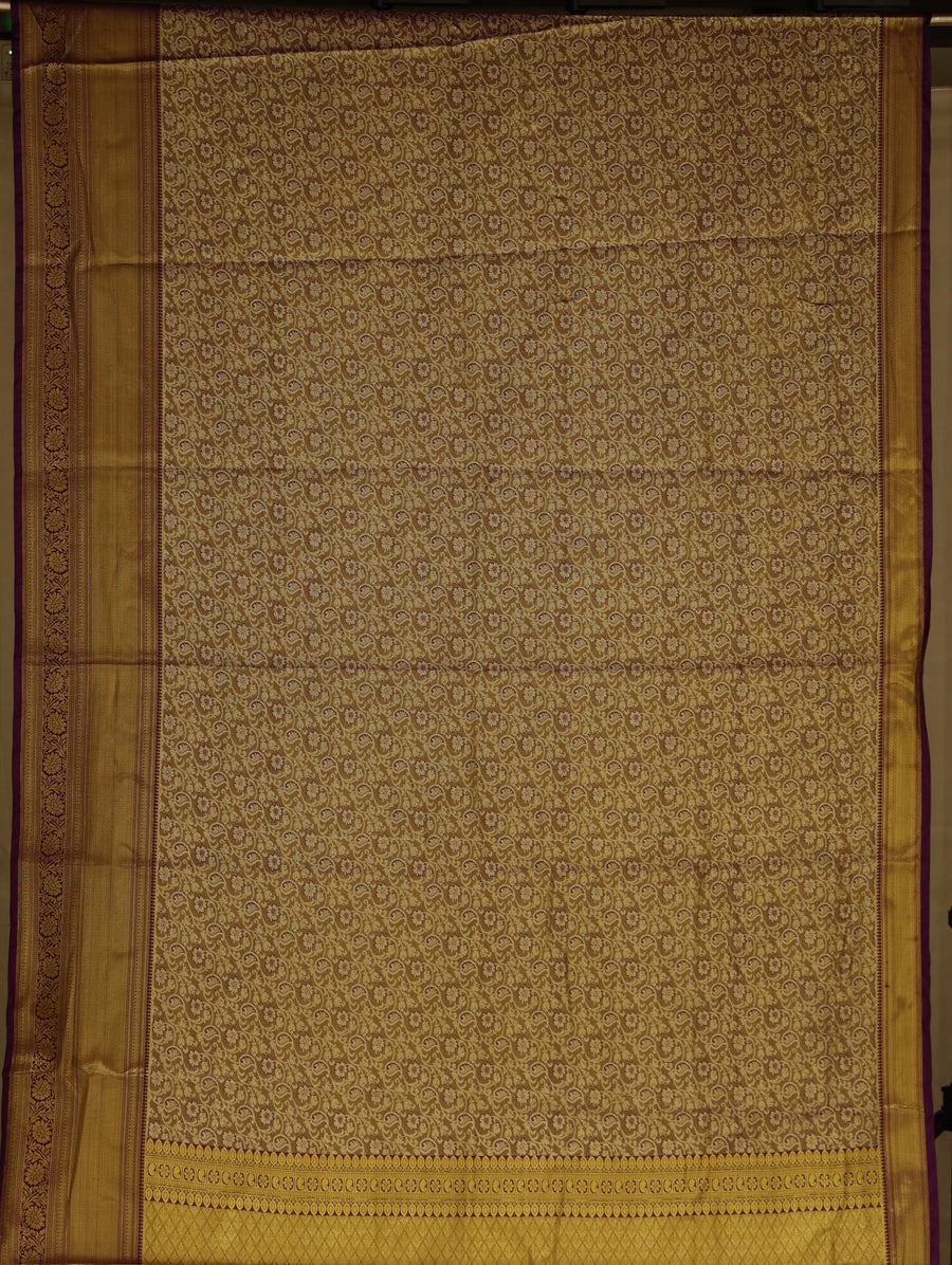 Champagne Gold Kanchipuram Inspired Semi Silk Saree with Wide Wide Self Border