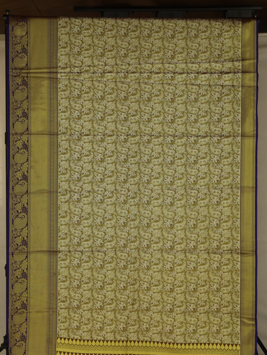 Champagne Gold Kanchipuram Inspired Semi Silk Saree with Medium Medium Contrast Border