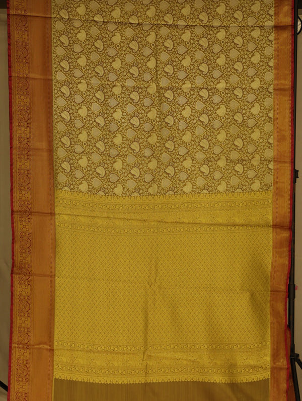 Sunlit Gold Kanchipuram Inspired Semi Silk Saree with Wide Wide Contrast Border