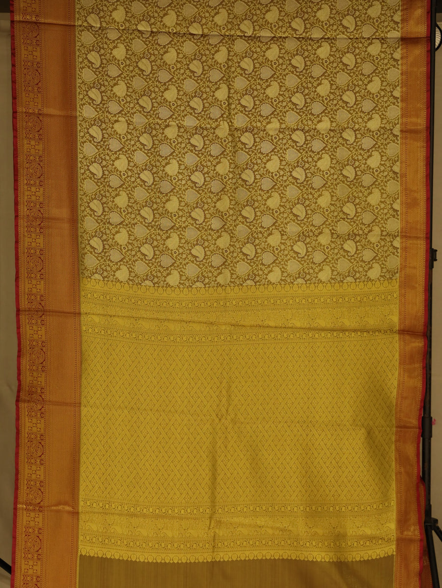 Sunlit Gold Kanchipuram Inspired Semi Silk Saree with Wide Wide Contrast Border