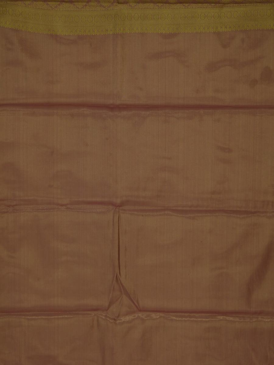 Champagne Gold Dharmavaram Inspired Semi Silk Saree with Wide Wide Contrast Border