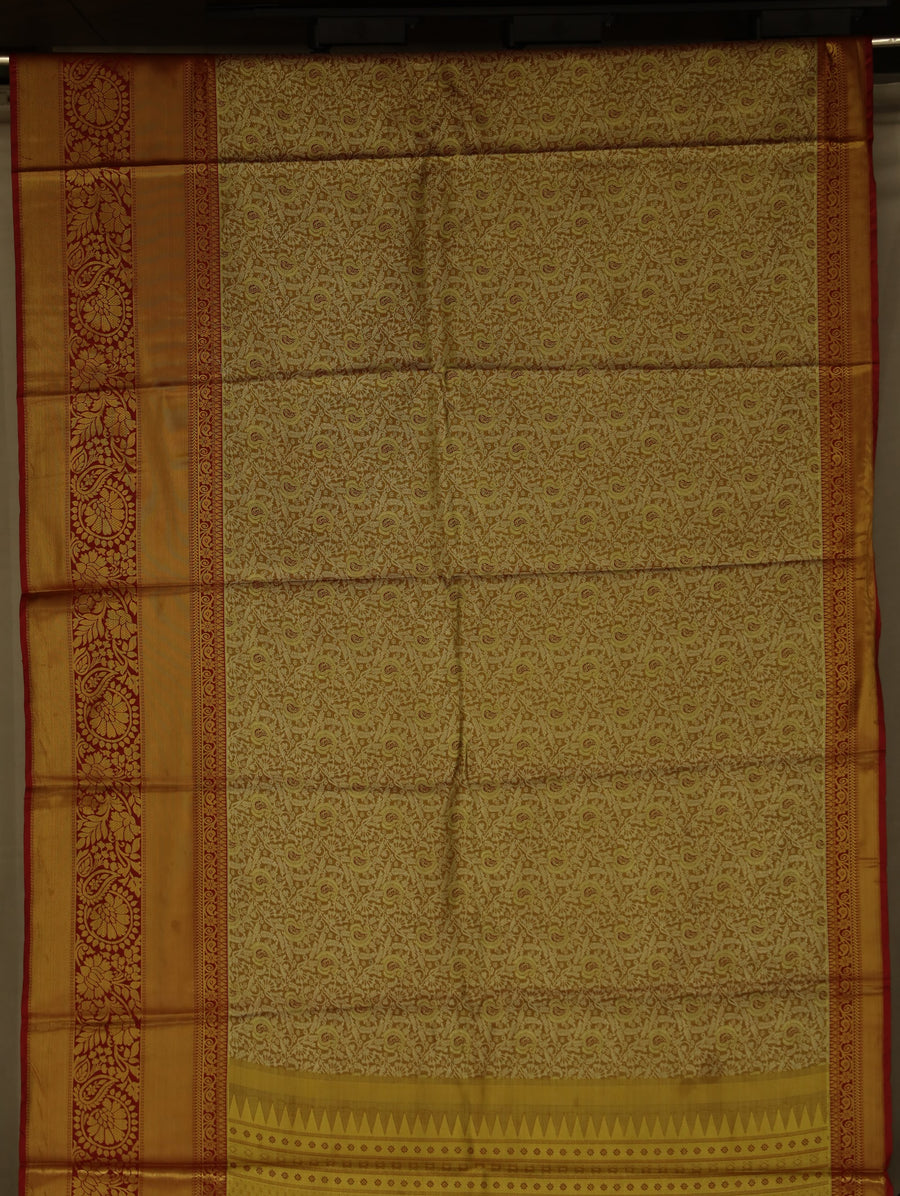 Champagne Gold Dharmavaram Inspired Semi Silk Saree with Wide Wide Contrast Border