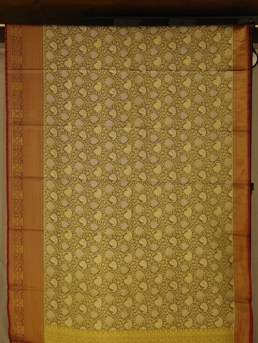 Sunlit Gold Kanchipuram Inspired Semi Silk Saree with Wide Wide Contrast Border