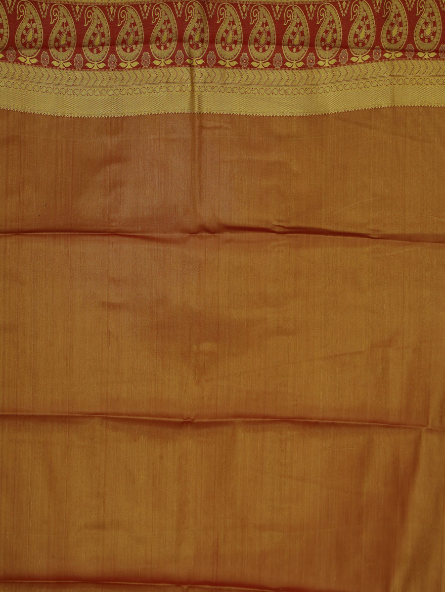 Ivory Gold Dharmavaram Inspired Semi Silk Saree with Wide Wide Contrast Border