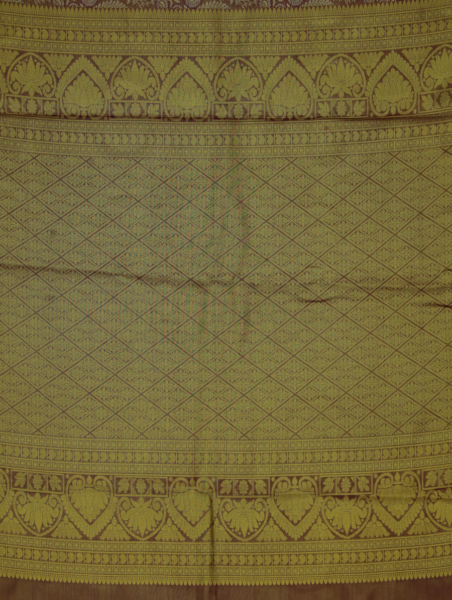 Champagne Gold Kanchipuram Inspired Semi Silk Saree with Wide Wide Contrast Border