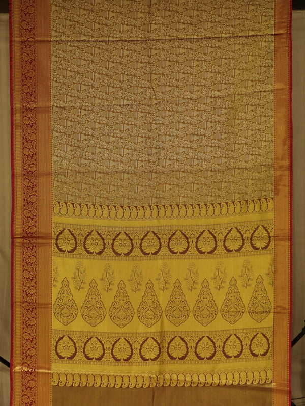 Champagne Gold Kanchipuram Inspired Semi Silk Saree with Wide Wide Contrast Border
