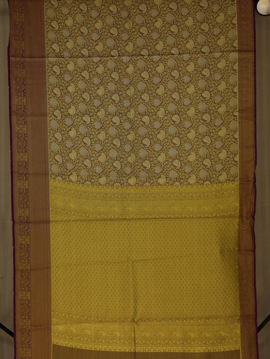 Antique Gold Kanchipuram Inspired Semi Silk Saree with Medium Medium Contrast Border