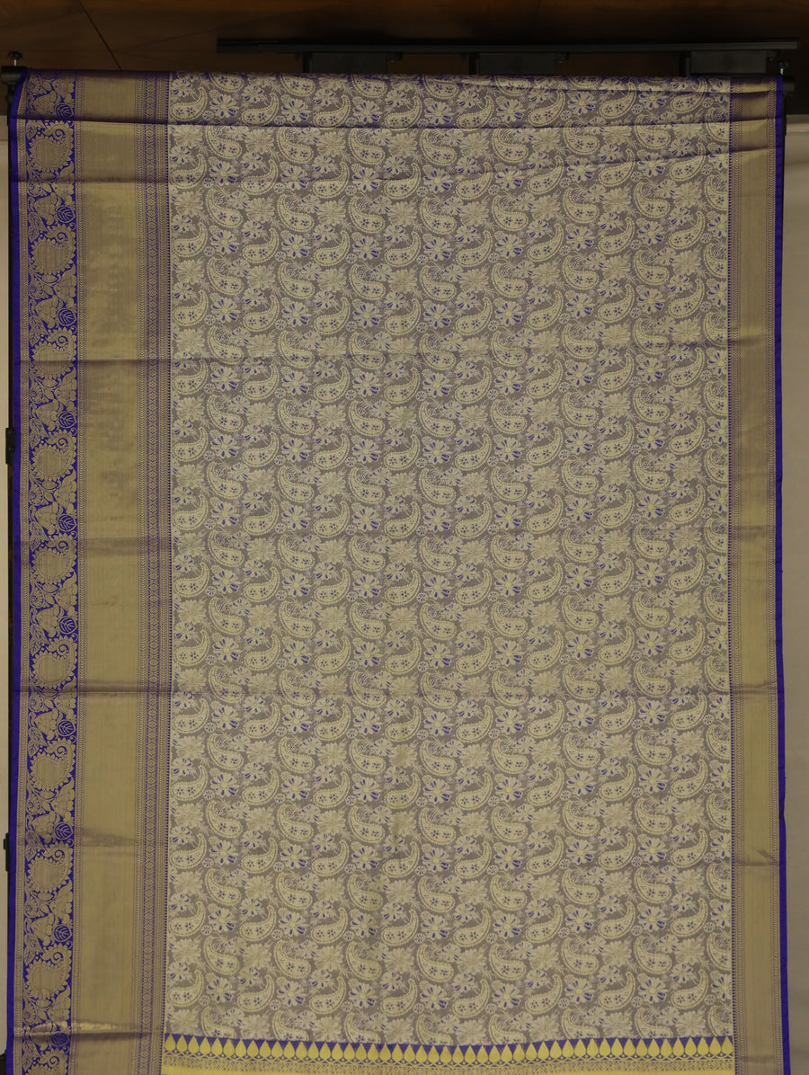Champagne Gold Kanchipuram Inspired Semi Silk Saree with Medium Medium Contrast Border