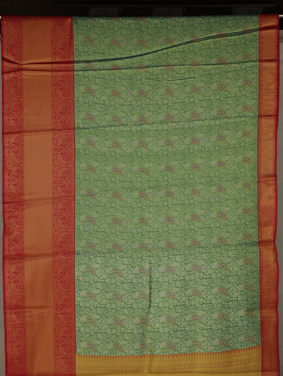 Sage Green Kanchipuram Inspired Semi Silk Saree with Wide Wide Contrast Border