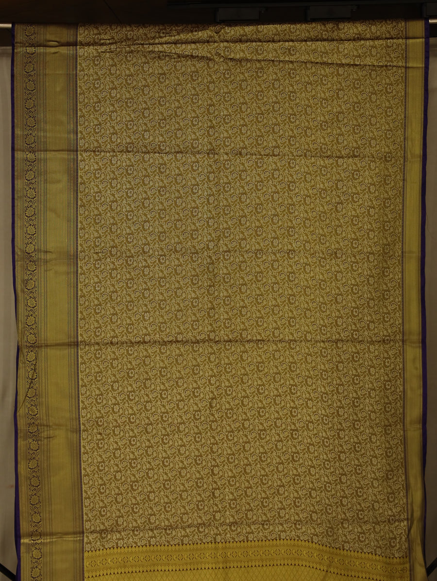 Champagne Gold Kanchipuram Inspired Semi Silk Saree with Wide Wide Contrast Border
