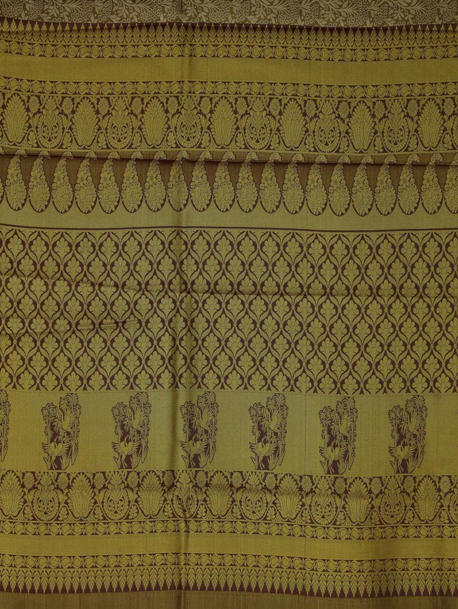 Champagne Gold Kanchipuram Inspired Semi Silk Saree with Wide Wide Contrast Border
