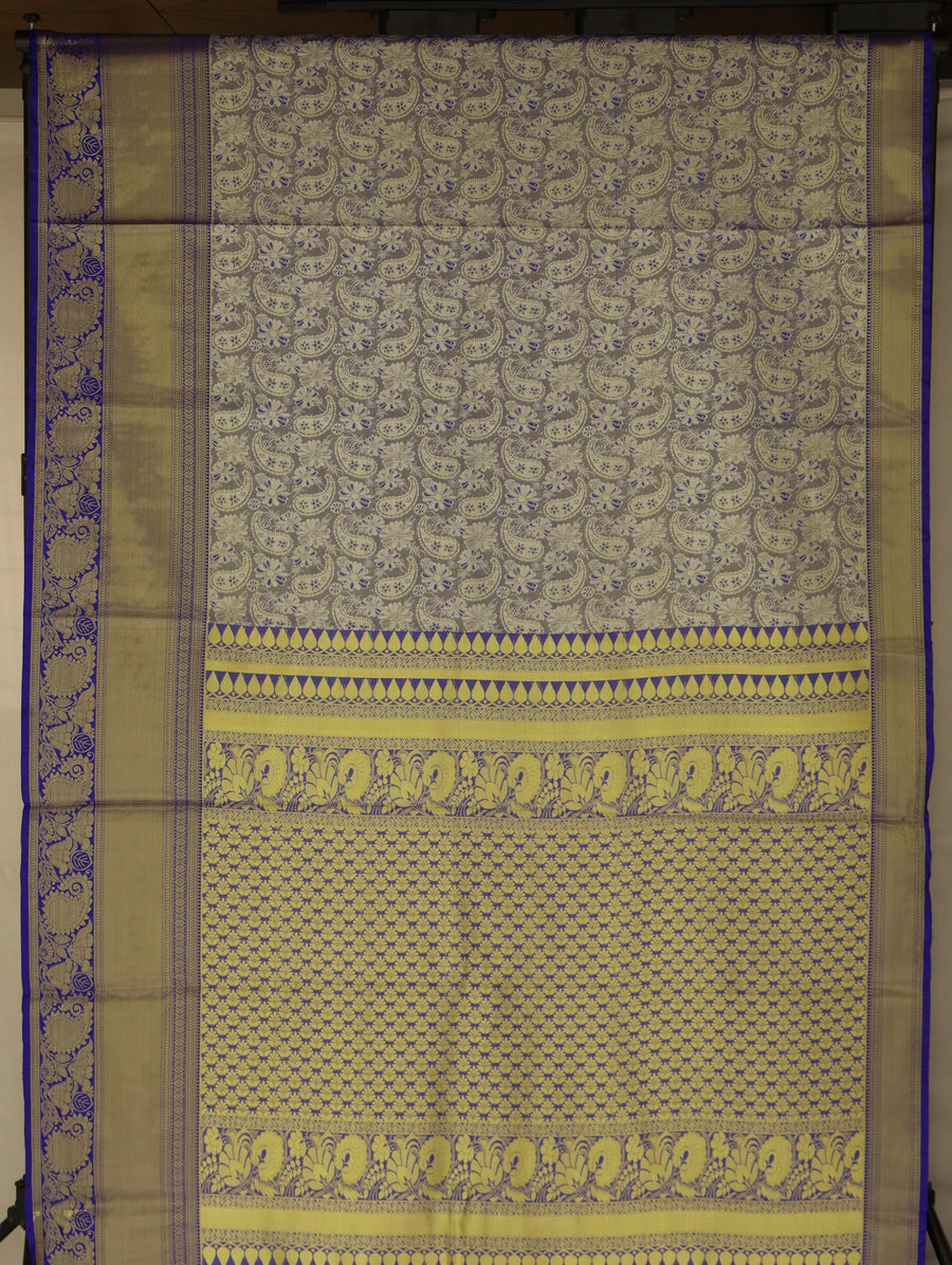 Champagne Gold Kanchipuram Inspired Semi Silk Saree with Medium Medium Contrast Border