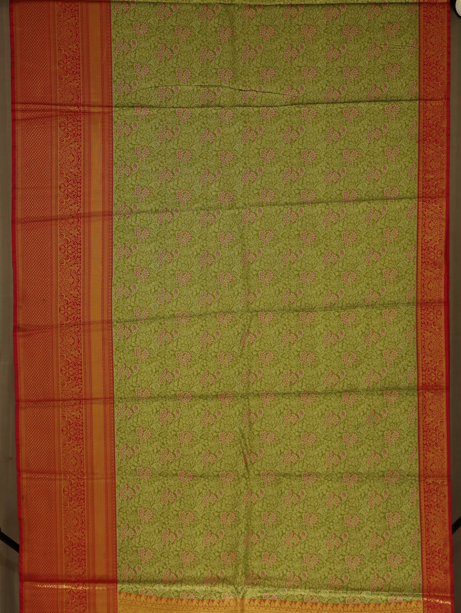 Sage Green Kanchipuram Inspired Semi Silk Saree with Wide Wide Contrast Border