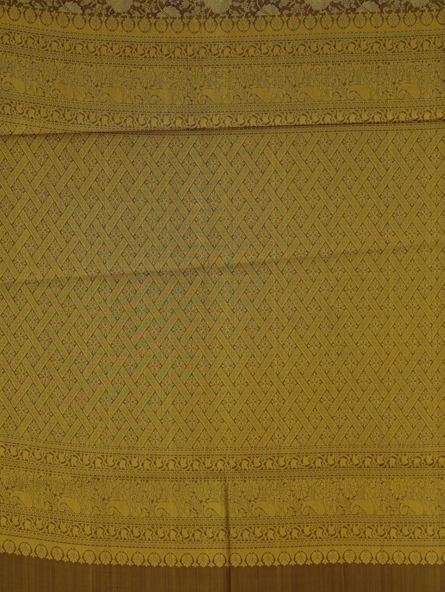 Antique Gold Kanchipuram Inspired Semi Silk Saree with Medium Medium Contrast Border