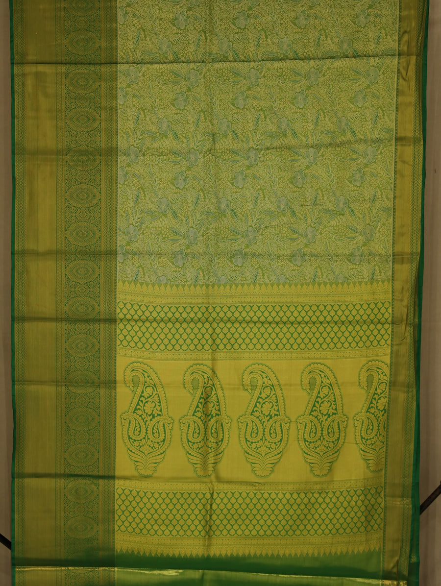 Sage Green Kanchipuram Inspired Semi Silk Saree with Wide Wide Self Border