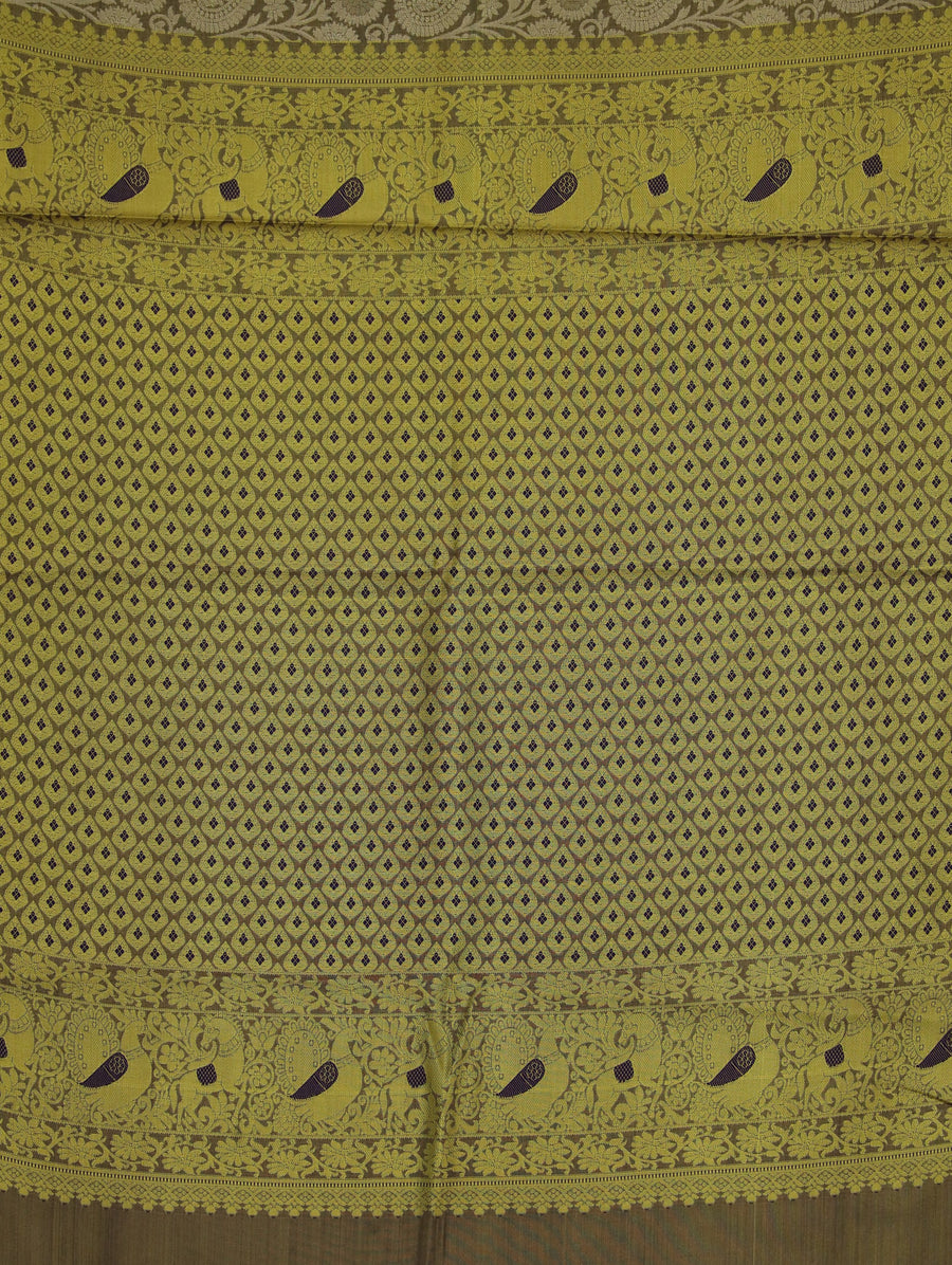 Champagne Gold Kanchipuram Inspired Semi Silk Saree with Medium Medium Contrast Border