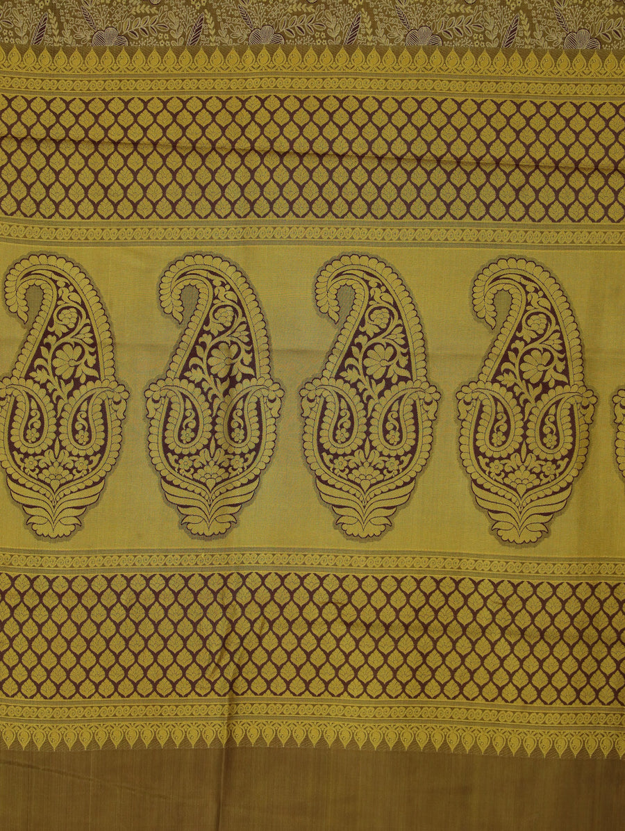 Mustard Gold Dharmavaram Inspired Semi Silk Saree with Medium Medium Contrast Border