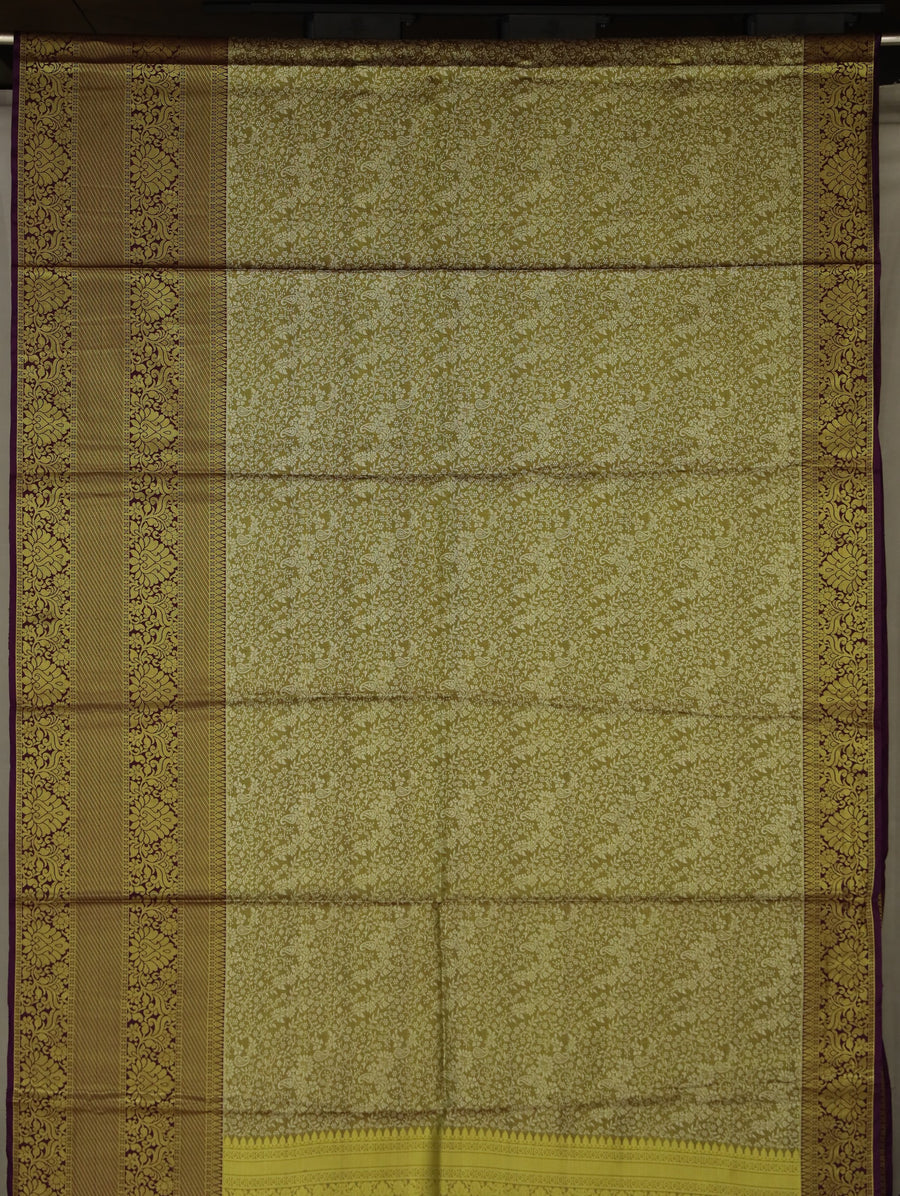Antique Gold Kanchipuram Inspired Semi Silk Saree with Wide Wide Contrast Border