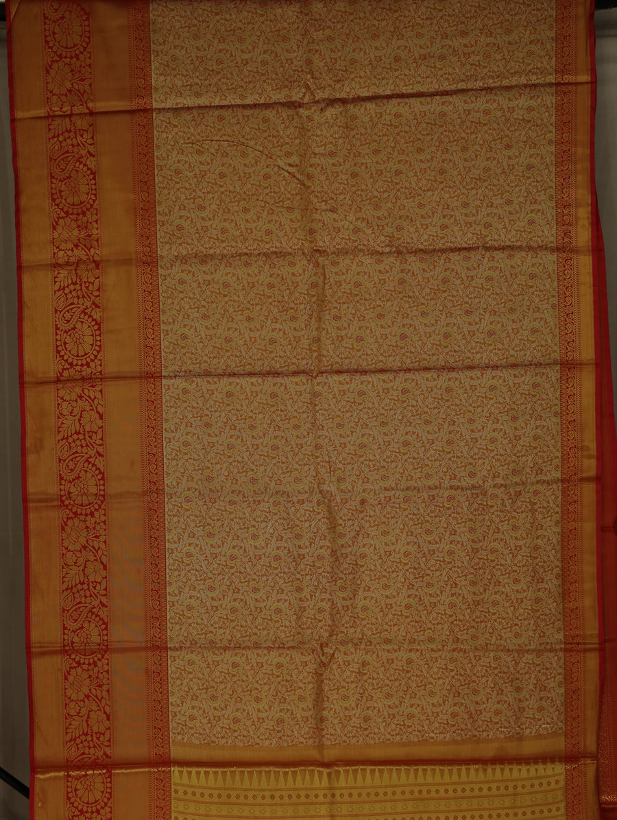 Champagne Gold Kanchipuram Inspired Semi Silk Saree with Wide Wide Contrast Border