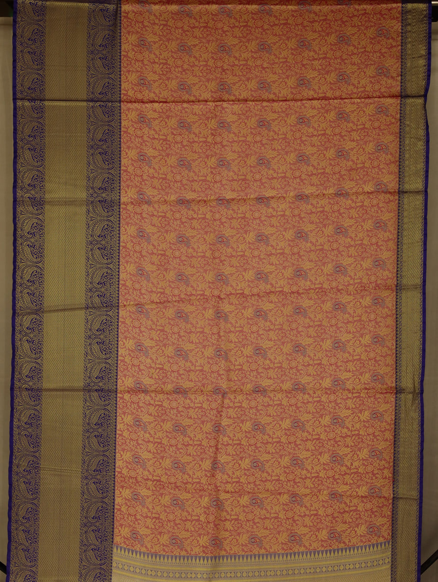 Champagne Gold Dharmavaram Inspired Semi Silk Saree with Wide Wide Contrast Border