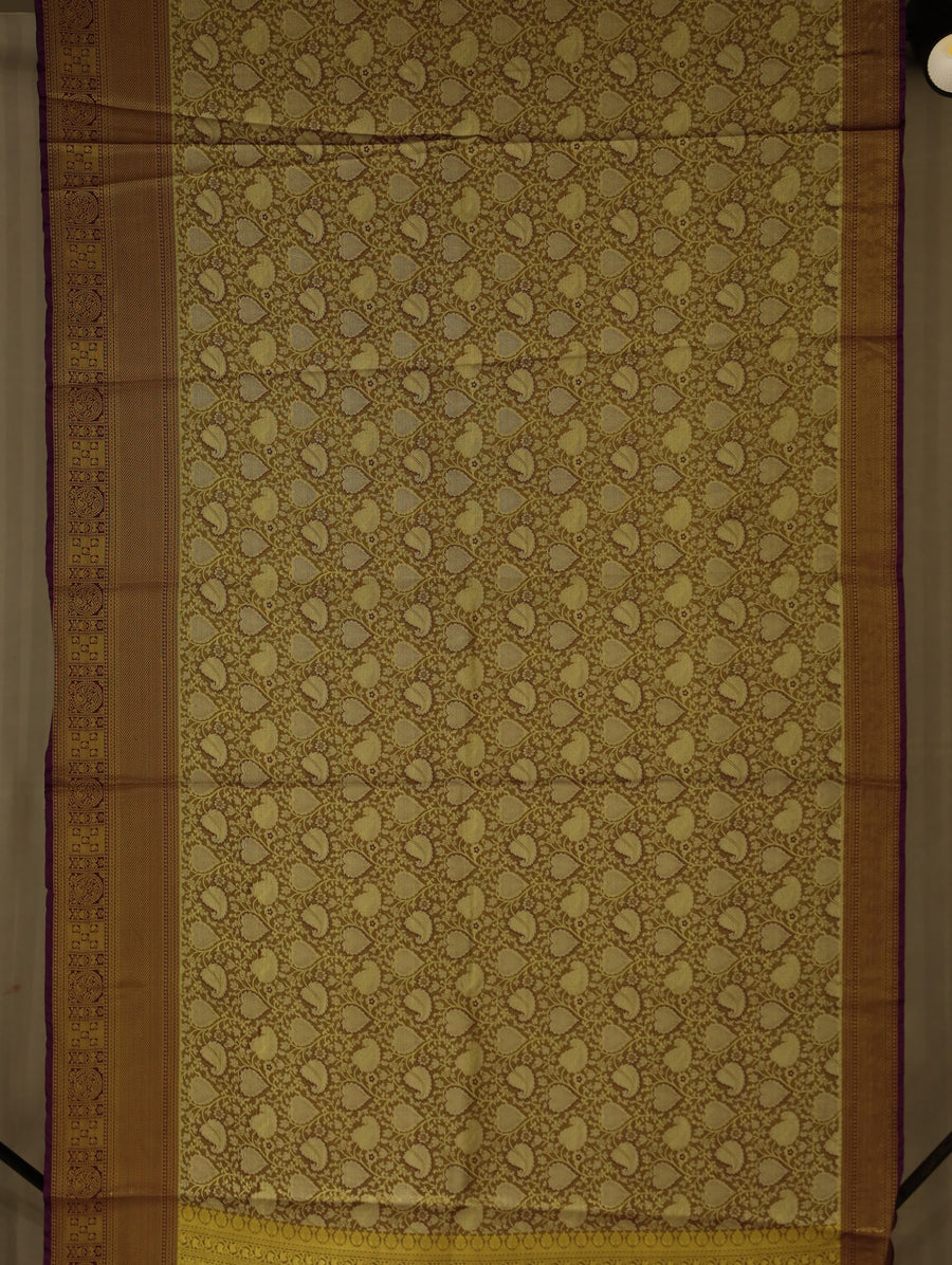 Antique Gold Kanchipuram Inspired Semi Silk Saree with Medium Medium Contrast Border