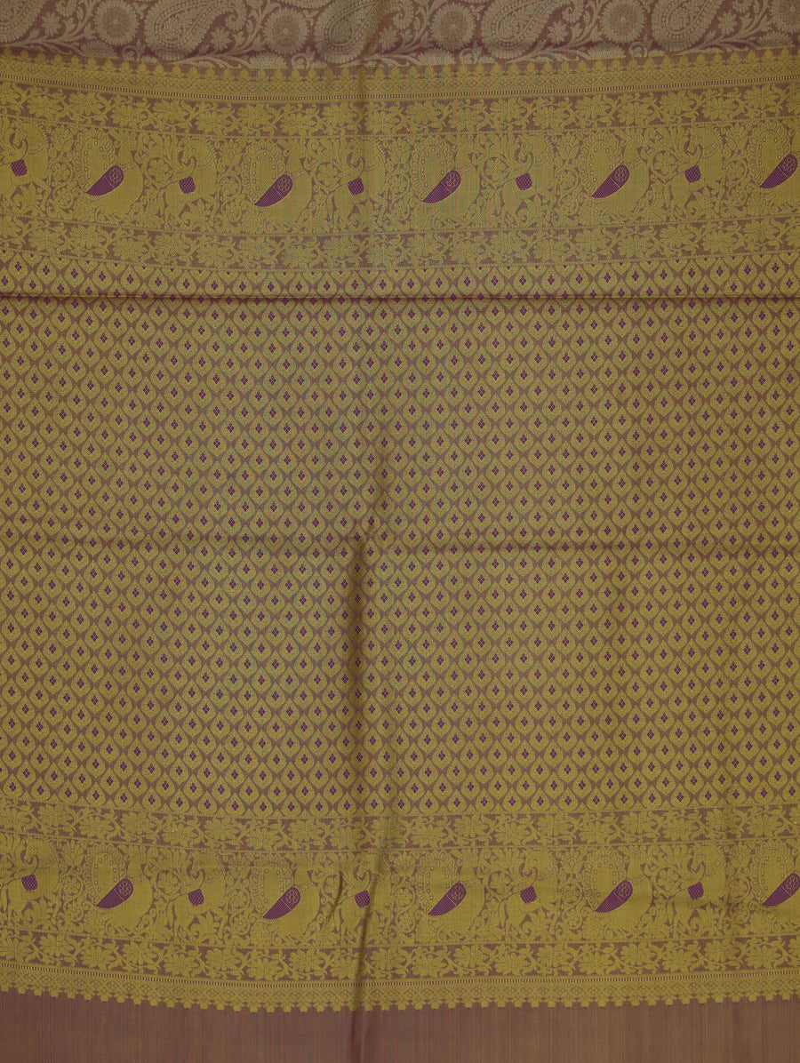 Champagne Gold Dharmavaram Inspired Semi Silk Saree with Wide Wide Contrast Border