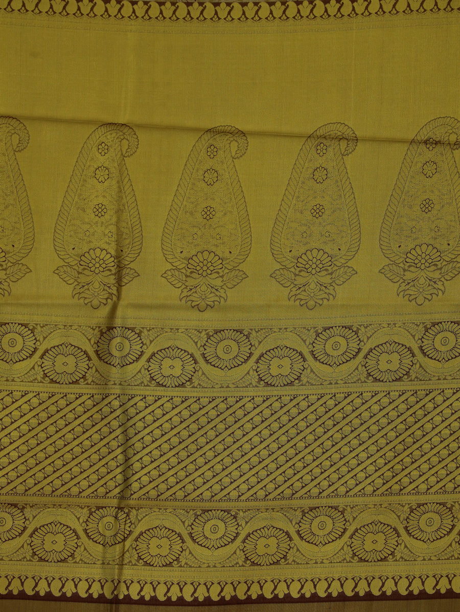Antique Gold Kanchipuram Inspired Semi Silk Saree with Medium Medium Contrast Border
