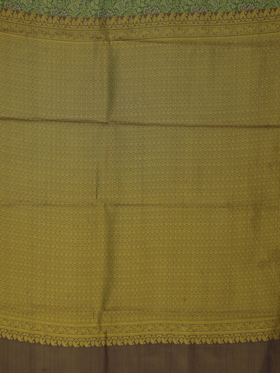 Sage Green Kanchipuram Inspired Semi Silk Saree with Wide Wide Contrast Border