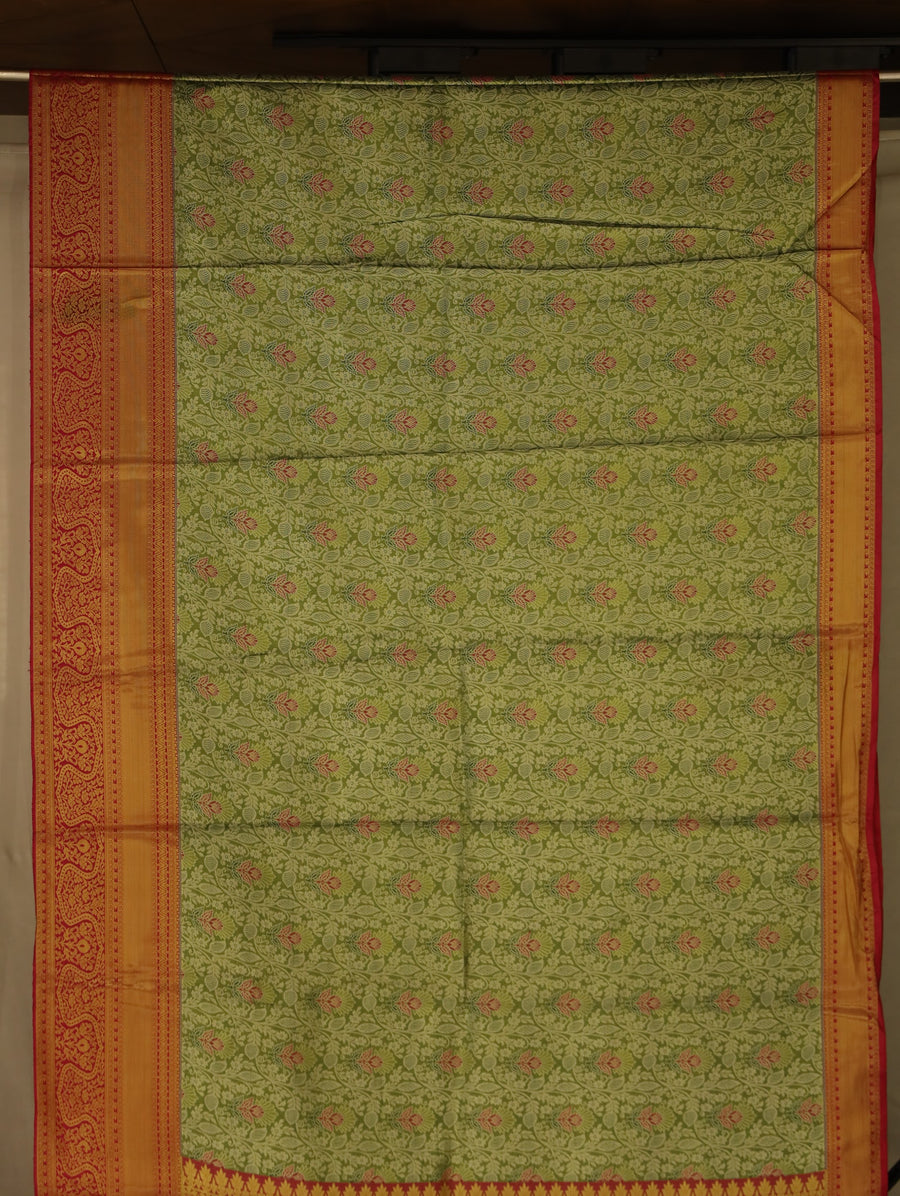 Sage Green Kanchipuram Inspired Semi Silk Saree with Wide Wide Contrast Border