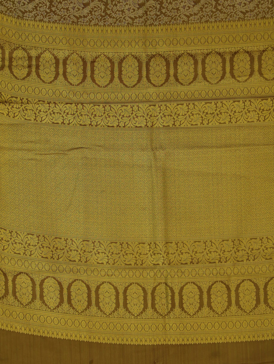 Champagne Gold Kanchipuram Inspired Semi Silk Saree with Wide Medium Contrast Border