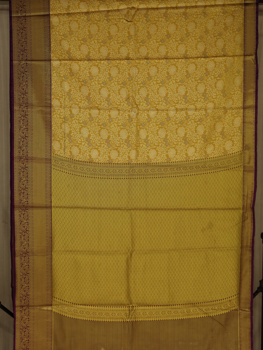 Champagne Gold Kanchipuram Inspired Semi Silk Saree with Wide Wide Contrast Border