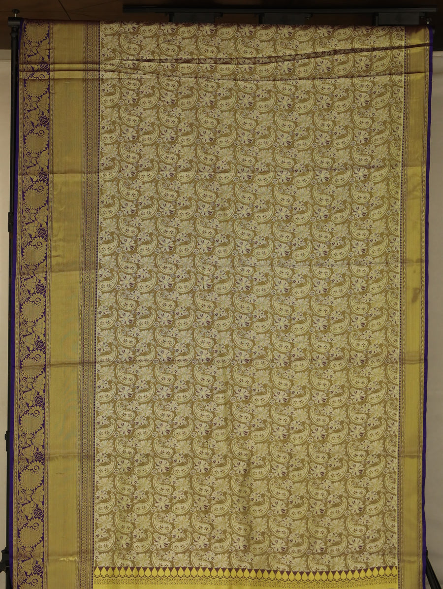Champagne Gold Kanchipuram Inspired Semi Silk Saree with Wide Wide Contrast Border