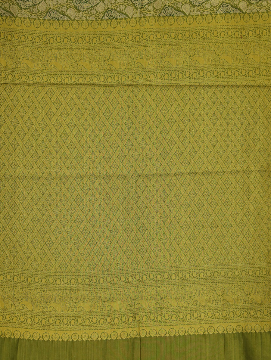Moss Green Kanchipuram Inspired Semi Silk Saree with Wide Wide Contrast Border